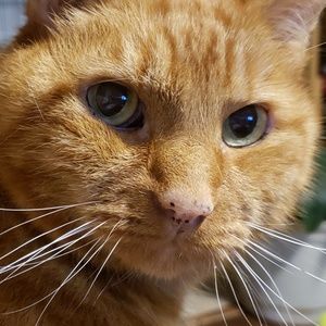 Meet your Posher, Georgia